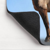 Tapis De Souris Appaloosa (Coin)