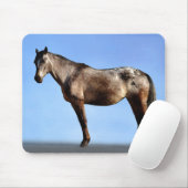 Tapis De Souris Appaloosa (Avec souris)