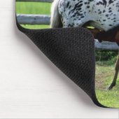 Tapis De Souris Appaloosa Mare et Cheval de Colt (Coin)