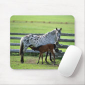 Tapis De Souris Appaloosa Mare et Cheval de Colt (Avec souris)
