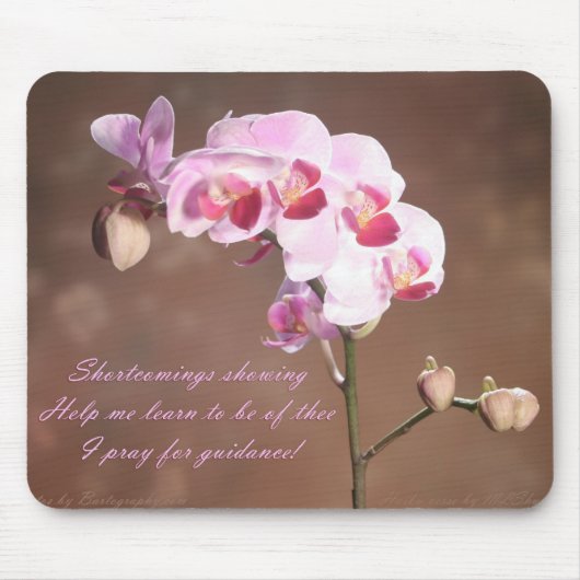 Tapis De Souris Apparence de Shrtcomings (Devant)