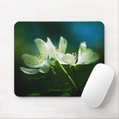Tapis De Souris Apple Blossom - Deux Fleurs (Avec souris)
