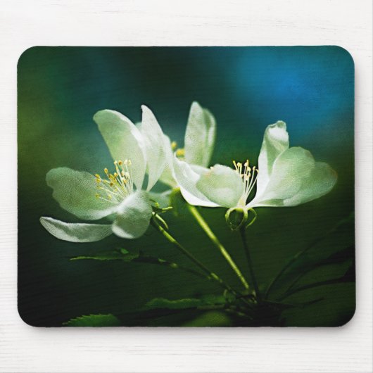 Tapis De Souris Apple Blossom - Deux Fleurs (Devant)