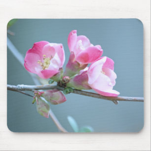 Tapis De Souris Apple Blossom #P0358 Mousepad