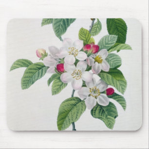 Tapis De Souris Apple fleurissent, du 'DES de Les Choix plus des