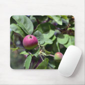 Tapis De Souris Apple sur (Avec souris)