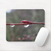 Tapis De Souris Après la pluie (Avec souris)