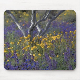 Tapis de souris aquarelle Lupin de Californie & Pa