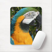 Tapis De Souris Ara Mousepad de bleu et d'or (Avec souris)