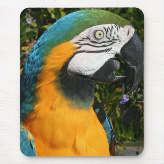 Tapis De Souris Ara Mousepad de bleu et d'or (Devant)