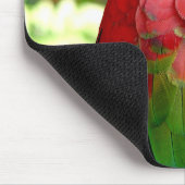 Tapis De Souris Ara rouge Mousepad 2 (Coin)