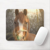 Tapis de souris arabe de cheval de châtaigne (Avec souris)