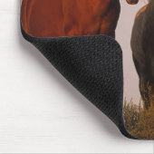 Tapis De Souris Arabes au coucher du soleil (Coin)