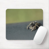 Tapis De Souris Araignée (Avec souris)