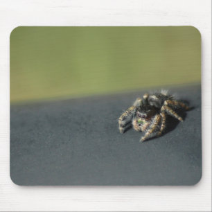 Tapis De Souris Araignée