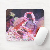 Tapis De Souris Araignée (Avec souris)