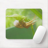 Tapis De Souris Araignée de crabe Thomisid Mousepad (Avec souris)