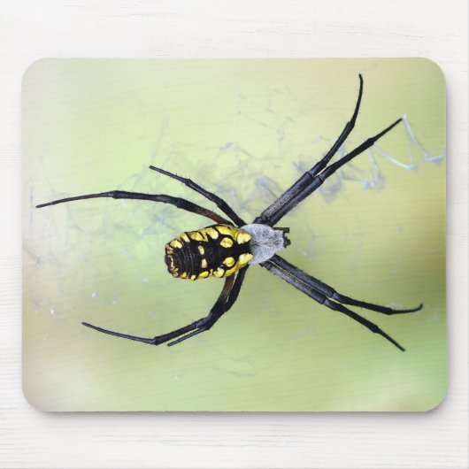 Tapis De Souris Araignée de jardin noire et jaune d'Argiope (Devant)