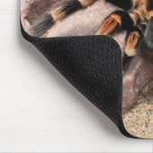 Tapis De Souris Araignée de Tarantula au genou rouge mexicain (Coin)