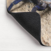 Tapis De Souris Araignée de Tarantula Bleue de Cobalt (Coin)