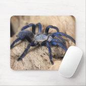 Tapis De Souris Araignée de Tarantula Bleue de Cobalt (Avec souris)