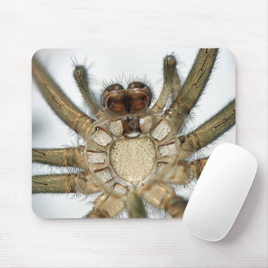 Tapis De Souris araignée d'exosquelette (Avec souris)