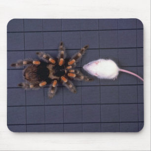 Tapis De Souris Araignée effrayante de tarentule et souris blanch