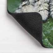 Tapis De Souris Araignée sauteuse Metaphid (Coin)