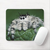 Tapis De Souris Araignée sauteuse Metaphid (Avec souris)