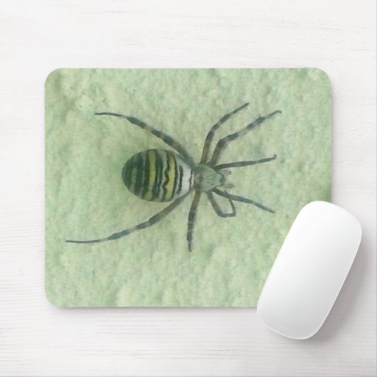 Tapis De Souris Araignee spider (Avec souris)