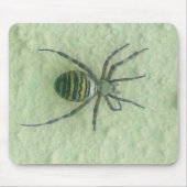 Tapis De Souris Araignee spider (Devant)