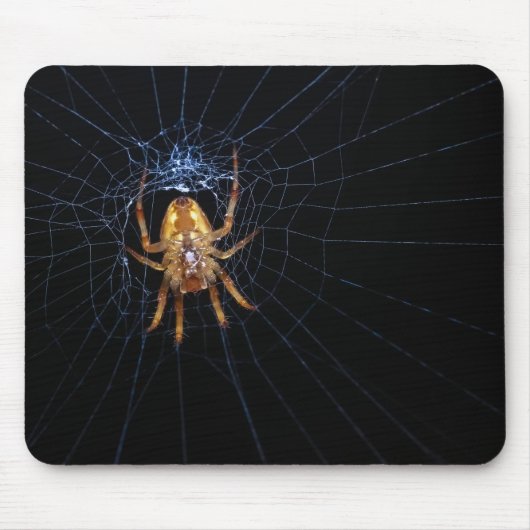 Tapis De Souris Araignée sur toile d'araignée (Devant)