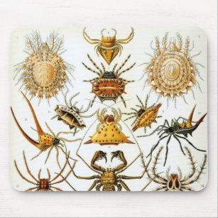 Tapis De Souris Araignées ou arachnides vintages par Ernst Haeckel