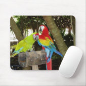 Tapis De Souris Aras Mousepad (Avec souris)