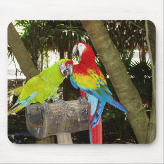Tapis De Souris Aras Mousepad