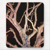 TAPIS DE SOURIS ARBRE (Devant)