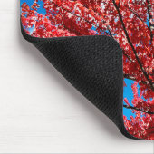 Tapis De Souris Arbre à feuilles rouges à l'automne (Coin)