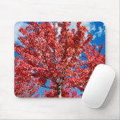 Tapis De Souris Arbre à feuilles rouges à l'automne (Avec souris)