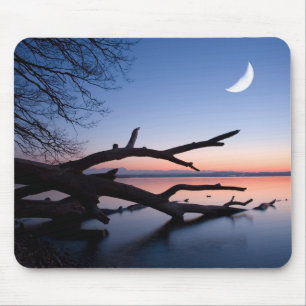 Tapis De Souris Arbre au lac de Starnberg Muensing Bavière Allem