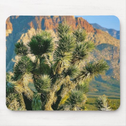 Tapis De Souris Arbre de cactus (Devant)