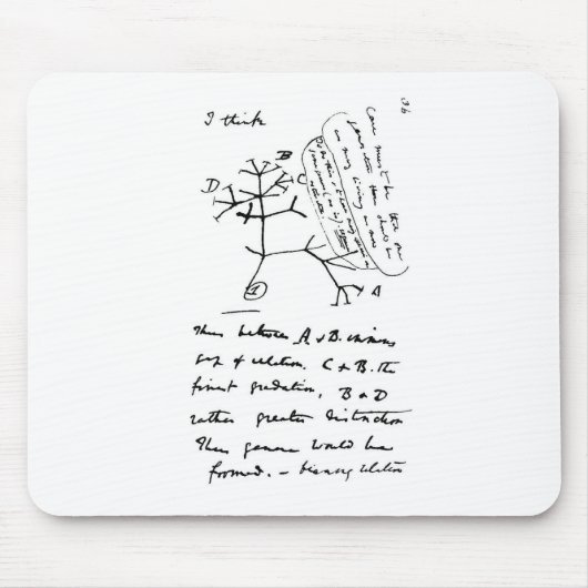 Tapis De Souris Arbre de Darwin (Devant)