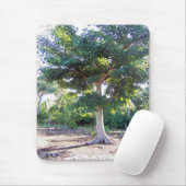 Tapis De Souris Arbre de la sagesse (Avec souris)