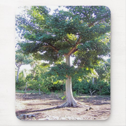 Tapis De Souris Arbre de la sagesse (Devant)