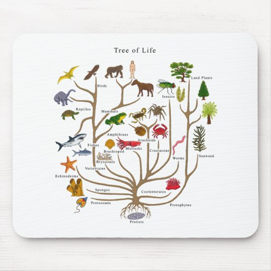 Tapis De Souris Arbre de la vie (Devant)