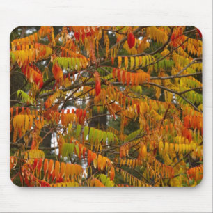 Tapis De Souris Arbre de sumac de couleur automnale à Whitefish,