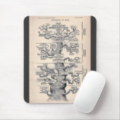 Tapis De Souris Arbre De Vie / Pedigree De L'Homme (Avec souris)