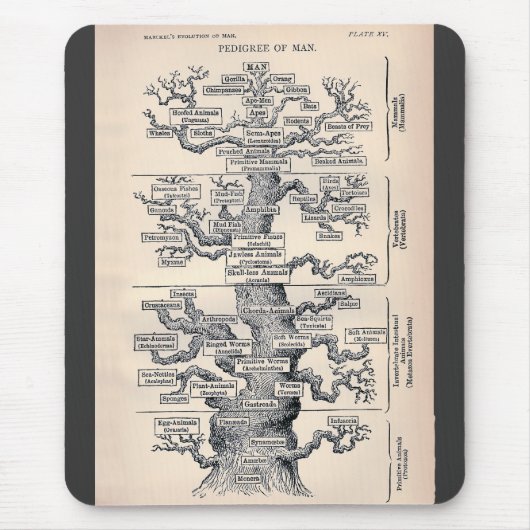 Tapis De Souris Arbre De Vie / Pedigree De L'Homme (Devant)