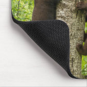 Tapis De Souris Arbre d'Escalades de l'ours noir (Coin)