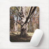 Tapis De Souris Arbre étrange (Avec souris)