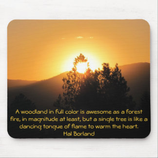 Tapis De Souris Arbre flamboyant Coucher de soleil avec citation d